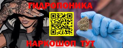 apvp Новодвинск