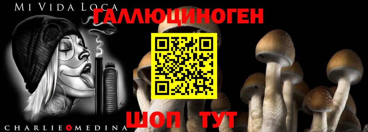 Сердобск  Псилоцибиновые грибы ЛСД  наркота  Вход с VPN 